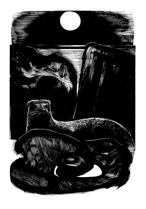 otter