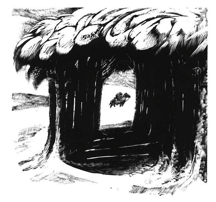 woods