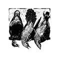 the bird's carol