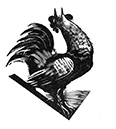 cock