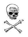 skull and cb